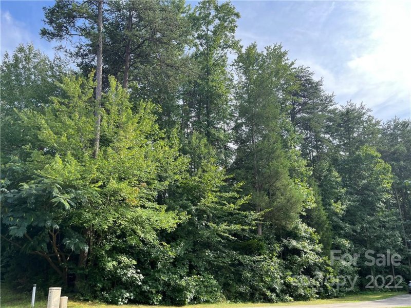 Property image 4 at 174 Twin Creeks Drive, Troutman, NC 28166