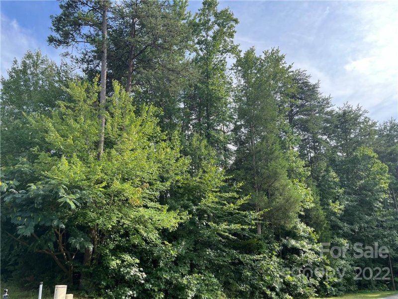 Property image 5 at 174 Twin Creeks Drive, Troutman, NC 28166