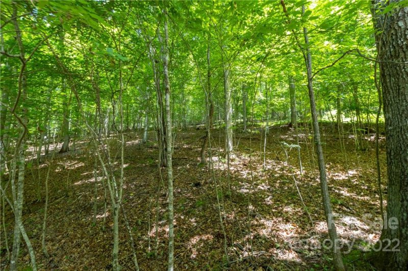 Property image 2 at Tbd Rabbit Hop Road, Spruce Pine, NC 28777