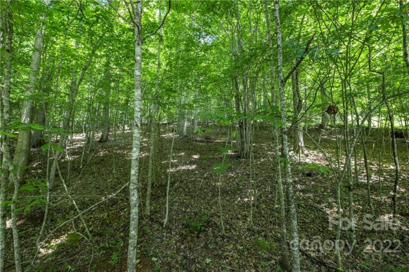 Property image 4 at Tbd Rabbit Hop Road, Spruce Pine, NC 28777