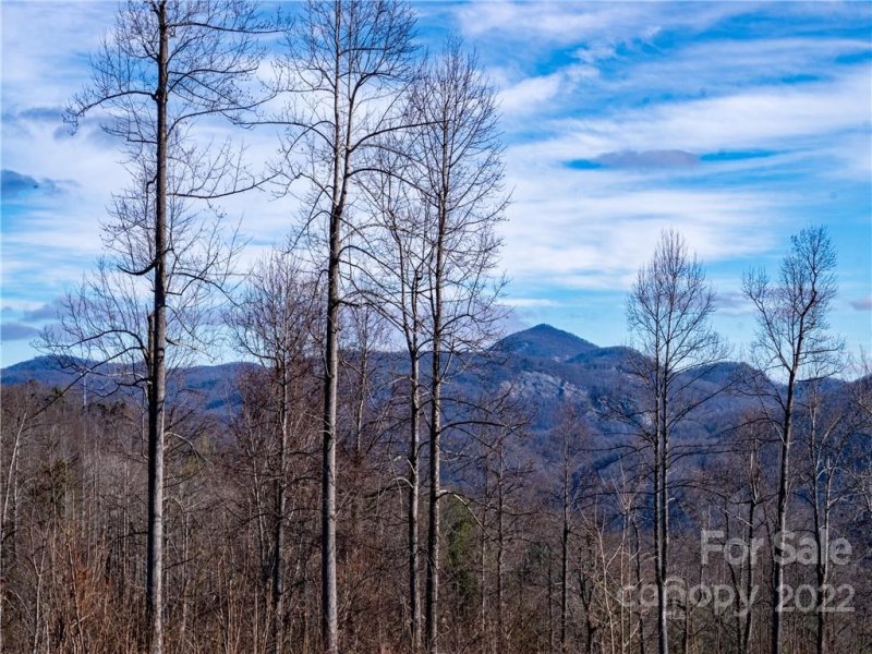 Property image 3 at 846 Silverglen Way, Hendersonville, NC 28792