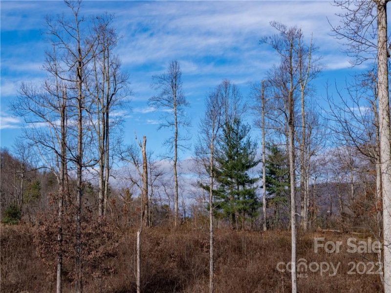 Property image 5 at 846 Silverglen Way, Hendersonville, NC 28792