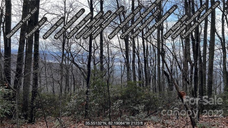 Property image 3 at 841 Pioneer Drive, Old Fort, NC 28762