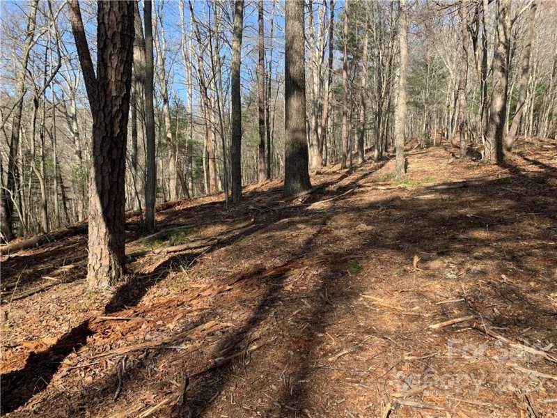 Property image 3 at 232 Spivey Mountain Road, Asheville, NC 28806