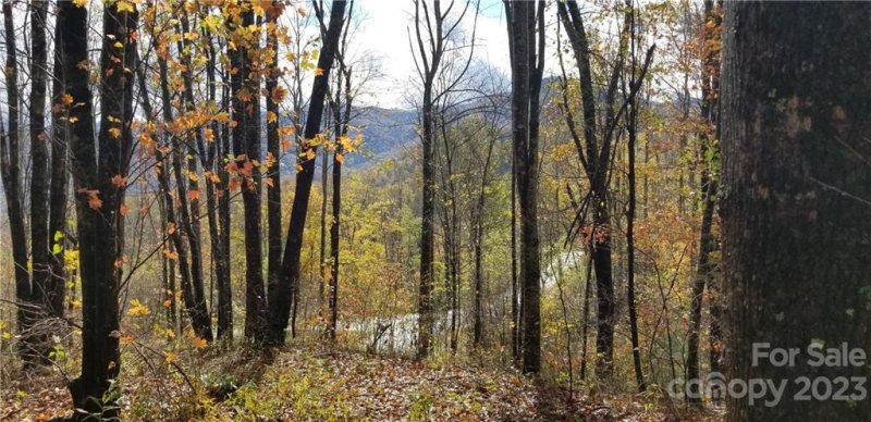 Property image 4 at Lot 21 Mountain Watch Drive, Waynesville, NC 28785