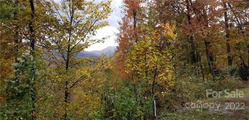 Property image 5 at Lot 21 Mountain Watch Drive, Waynesville, NC 28785