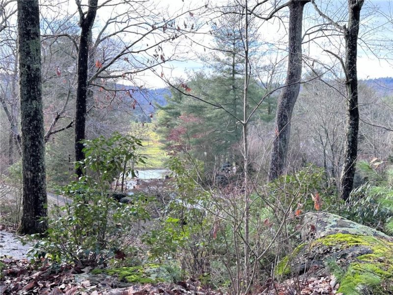 Property image 2 at 4 Claremont Drive, Flat Rock, NC 28731