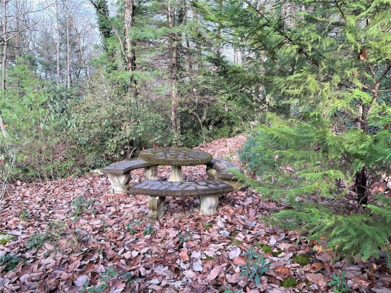 Property image 3 at 4 Claremont Drive, Flat Rock, NC 28731