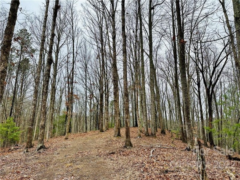 Property image 2 of 921 Wild River Run in French Broad Crossing, Marshall, NC 28753