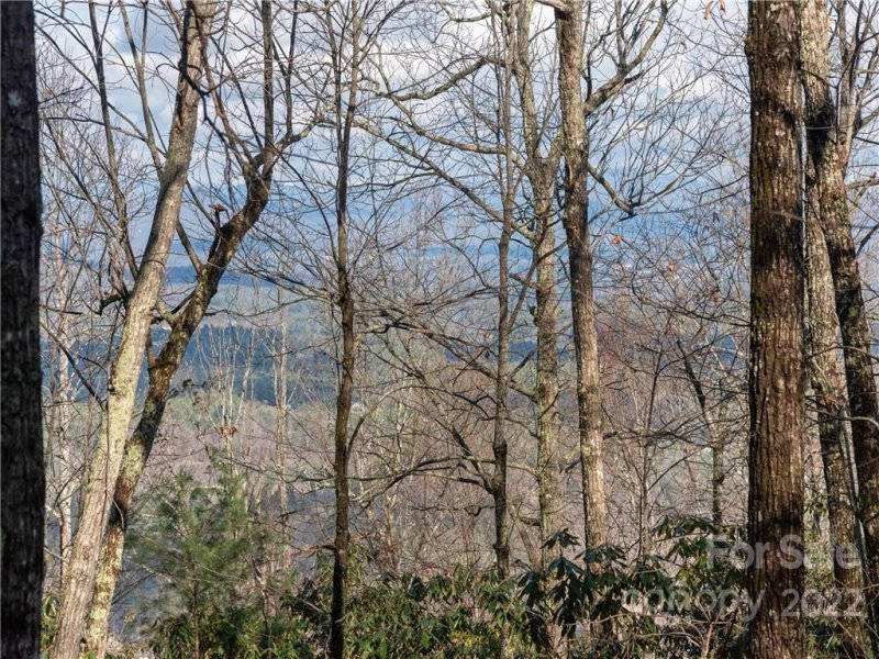 Property image 2 at 000 Pinnacle Mountain Road, Hendersonville, NC 28739