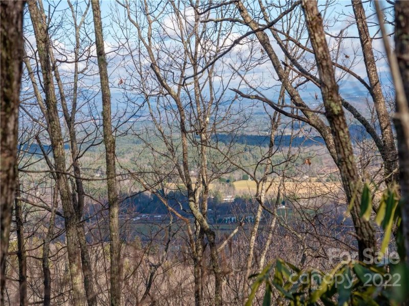 Property image 3 at 000 Pinnacle Mountain Road, Hendersonville, NC 28739