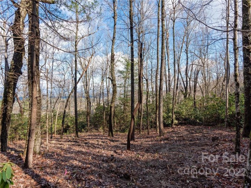 Property image 4 at 000 Pinnacle Mountain Road, Hendersonville, NC 28739