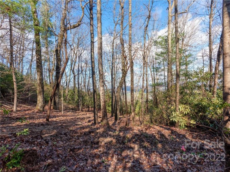 Property image 5 at 000 Pinnacle Mountain Road, Hendersonville, NC 28739