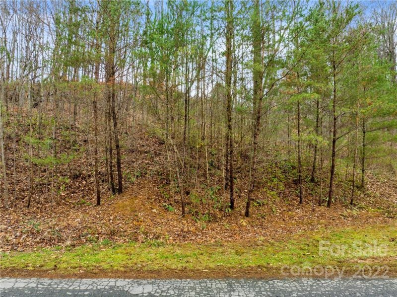 Property image 5 at 61 Wind Stone Drive, Asheville, NC 28804