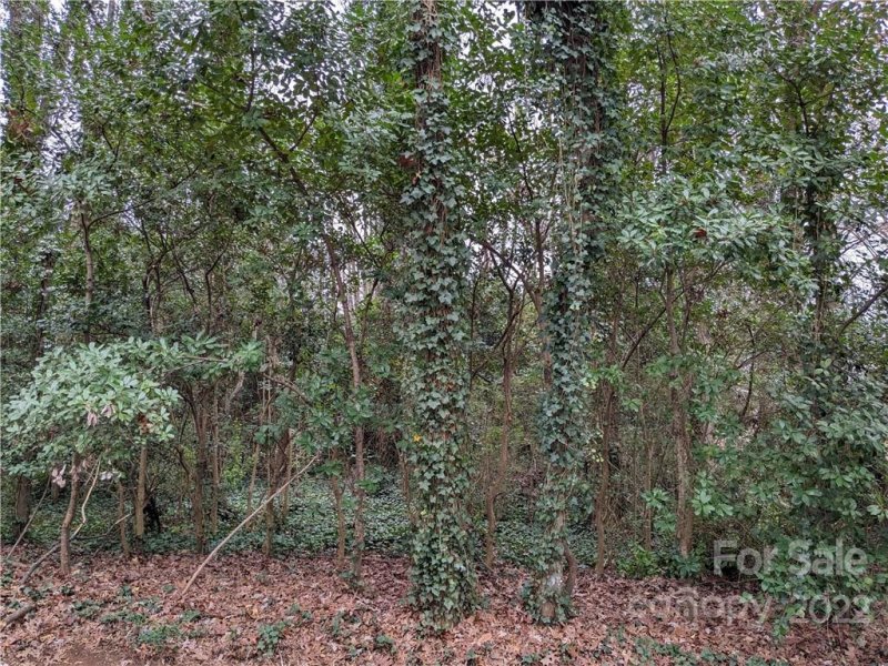 Property image 2 at 5216 Hoover Drive, Charlotte, NC 28269