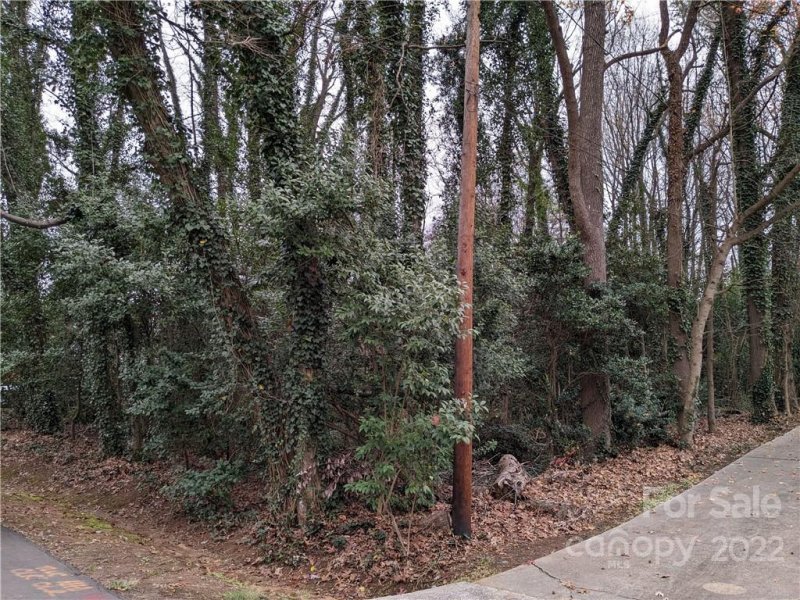 Property image 3 at 5216 Hoover Drive, Charlotte, NC 28269