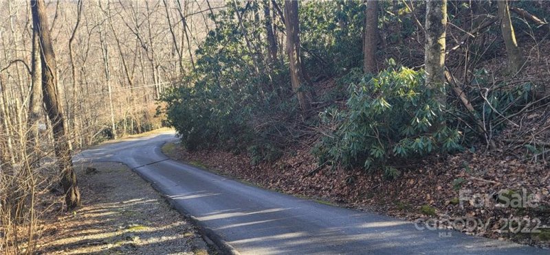 Property image 2 at Lot 3 Friar Tuck Lane, Maggie Valley, NC 28751