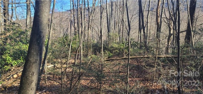 Property image 3 at Lot 3 Friar Tuck Lane, Maggie Valley, NC 28751