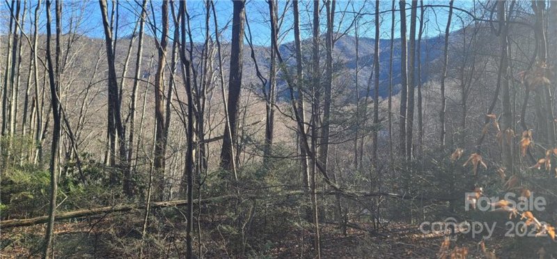 Property image 4 at Lot 3 Friar Tuck Lane, Maggie Valley, NC 28751