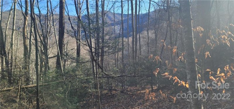 Property image 5 at Lot 3 Friar Tuck Lane, Maggie Valley, NC 28751
