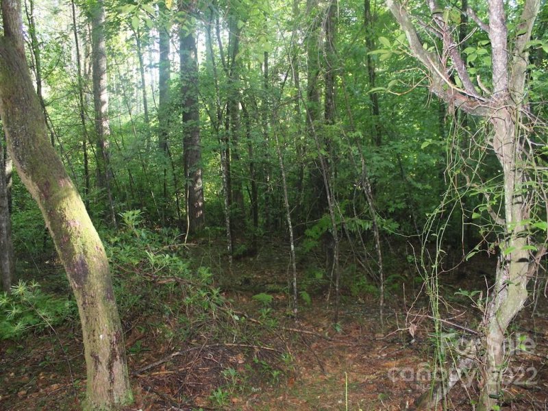 Property image 3 at L49 Mountain Brook Trail, Brevard, NC 28712