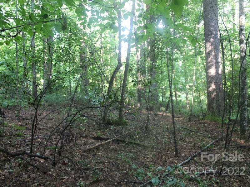 Property image 4 at L49 Mountain Brook Trail, Brevard, NC 28712