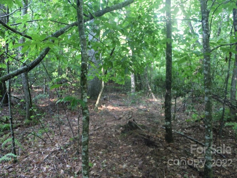 Property image 5 at L49 Mountain Brook Trail, Brevard, NC 28712