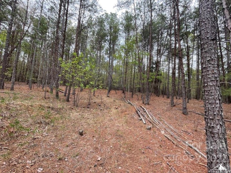 Property image 5 at 0 Jons Forest Drive, Nebo, NC 28761