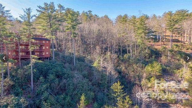 Property image 2 at Tbd Toxaway Falls Drive, Lake Toxaway, NC 28747