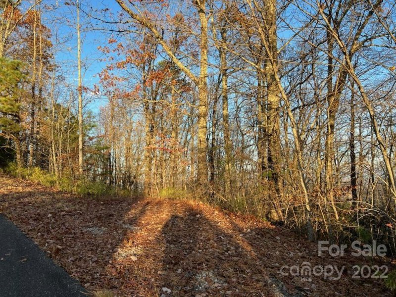 Property image 2 at Lot 75 Grants Mountain Road, Marion, NC 28752