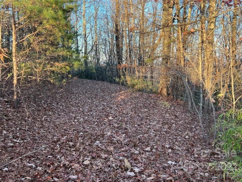 Property image 5 at Lot 75 Grants Mountain Road, Marion, NC 28752