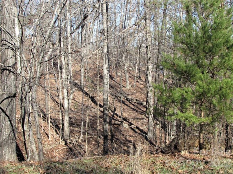 Property image 4 at 1068 Rocky Cove Lane, Denton, NC 27239