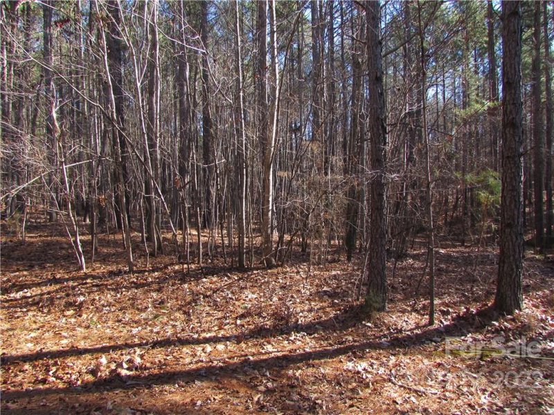 Property image 5 at 146 Cove Wood Drive, Denton, NC 27239