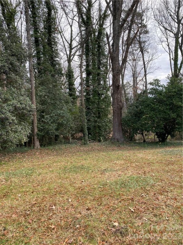 Property image 3 at 1001 Coddington Place, Charlotte, NC 28211