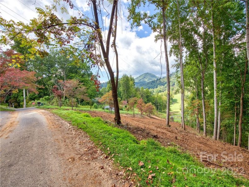 Property image 4 at 00 Club Drive, Canton, NC 28716