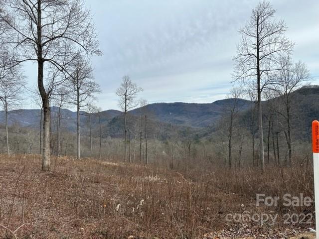 Property image 2 at 0000 Glen Haven Cove, Hendersonville, NC 28792