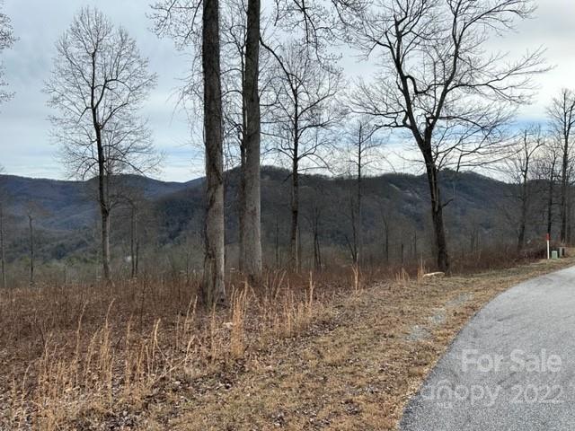 Property image 3 at 0000 Glen Haven Cove, Hendersonville, NC 28792