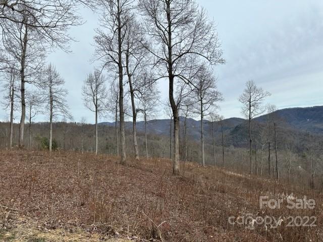 Property image 4 at 0000 Glen Haven Cove, Hendersonville, NC 28792