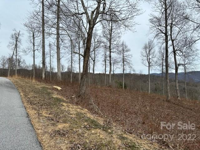 Property image 5 at 0000 Glen Haven Cove, Hendersonville, NC 28792