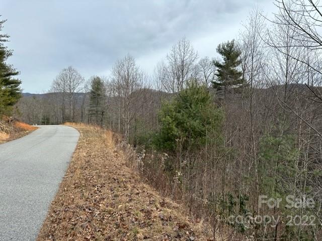 Property image 4 at 0000 Silverglen Way, Hendersonville, NC 28792