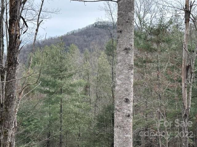 Property image 5 at 0000 Silverglen Way, Hendersonville, NC 28792