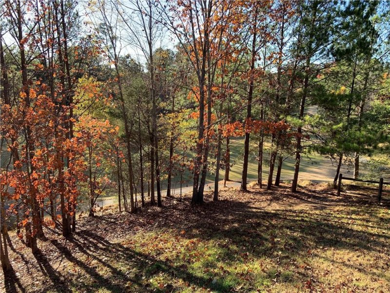 Property image 4 at 11001 Dog Leg Trace, Tega Cay, SC 29708