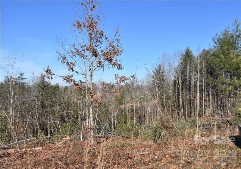 Property image 3 at 2458 Kite Drive, Lenoir, NC 28645