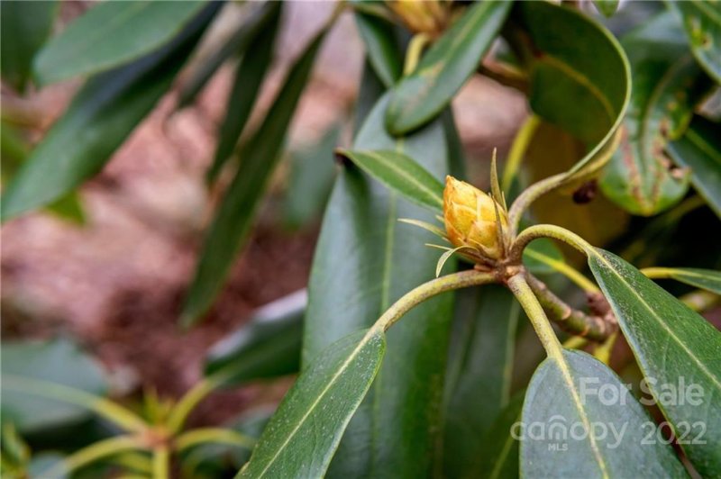 Property image 3 at 128 Overlook Drive, Spruce Pine, NC 28777