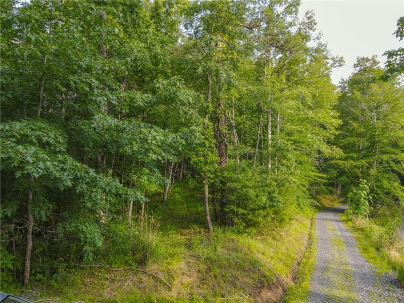 Property image 2 at 58 Cherie Court, Mars Hill, NC 28754