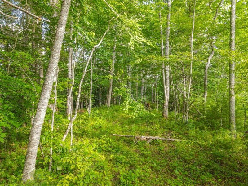 Property image 3 at 58 Cherie Court, Mars Hill, NC 28754