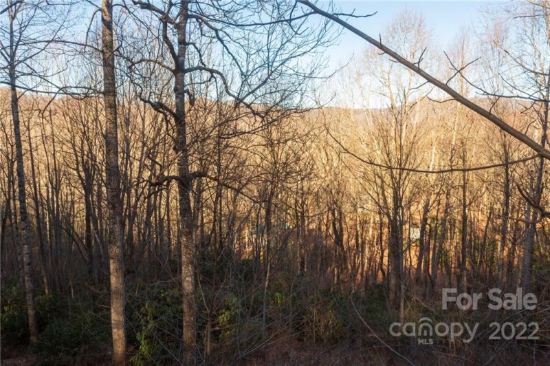 Property image 4 at 225 Marcellina Drive, Fairview, NC 28730