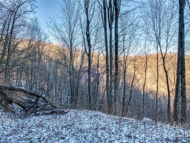 Property image 3 at Lot 240 Apple Creek Road, Waynesville, NC 28786