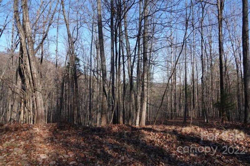 Property image 2 at 171 Luckadoo Mountain Road, Bostic, NC 28018