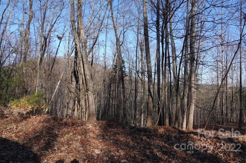 Property image 3 at 171 Luckadoo Mountain Road, Bostic, NC 28018